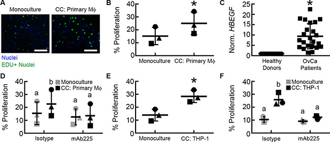 Paracrine signaling between M2 macrophages and OVCA433 increases tumor proliferation via EGFR.