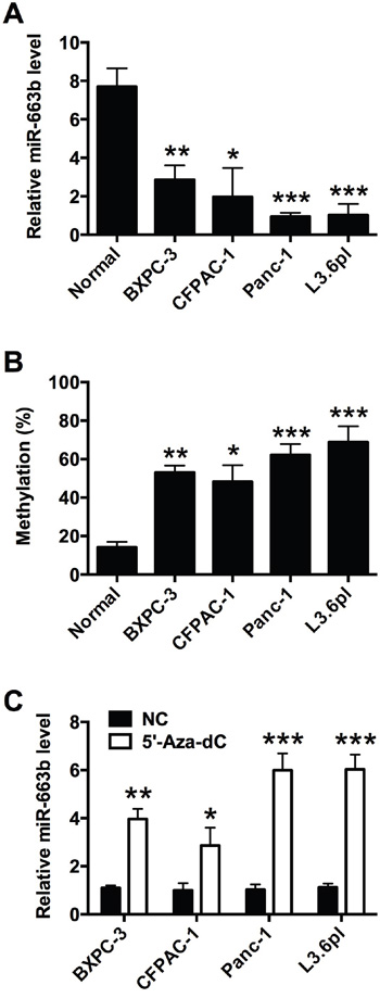 MiR-663b was down-regulated by CpG hypermethylation in pancreatic cancer cells.