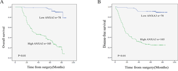 Kaplan-Meier survival curves of gastric cancer patients after gastrectomy.
