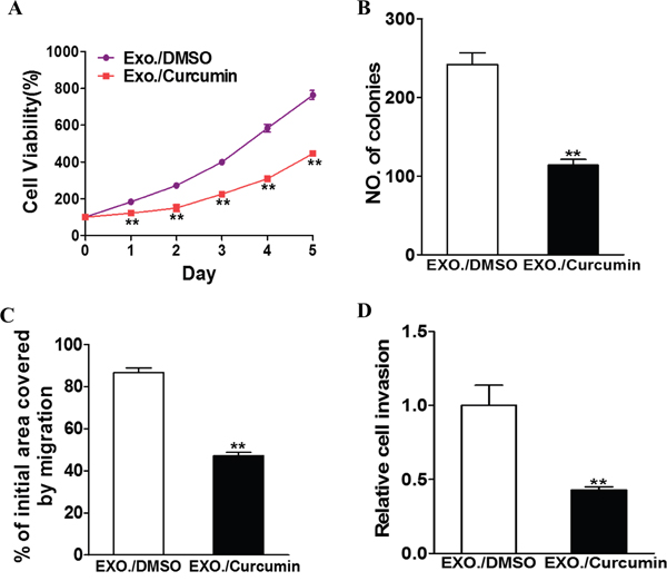 Curcumin treated exosome inhibit the exosomal development of lung cancer.