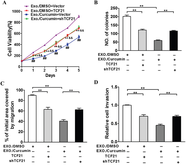 TCF21 participates in curcumin induced suppression role of exosomal lung cancer development.