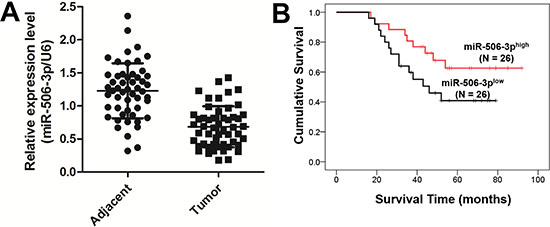 Downregulated expression of miR-506-3p predicts poor prognosis in NSCLC patients.