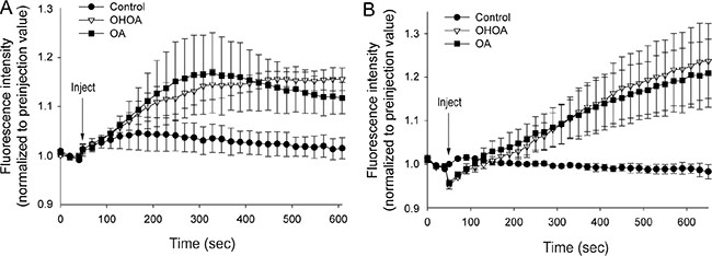 Both OHOA and OA stimulate release of calcium from intracellular stores.