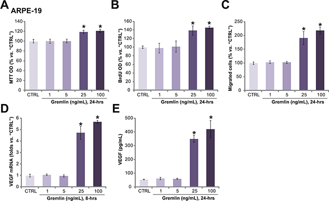 Gremlin promotes APRE-19 cell proliferation, migration and VEGF production.