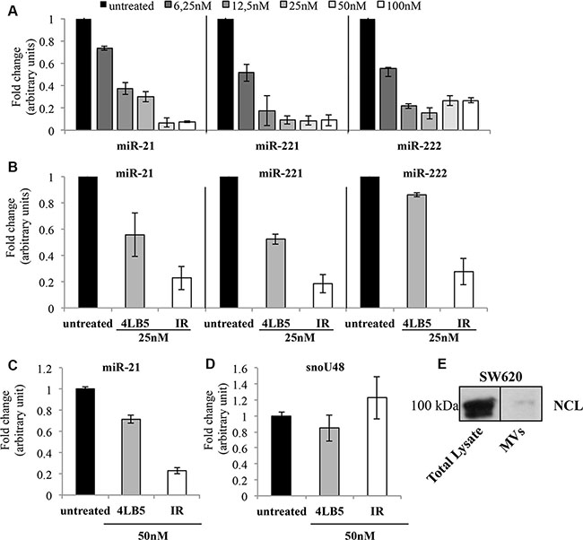 Effects of 4LB5-HP-RNase on cellular and EV-associated miRNAs.