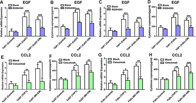 CCL2/CCR2 and EGF/EGFR axes act as a feedback paracrine loop between THP1 and HNSCC cells.