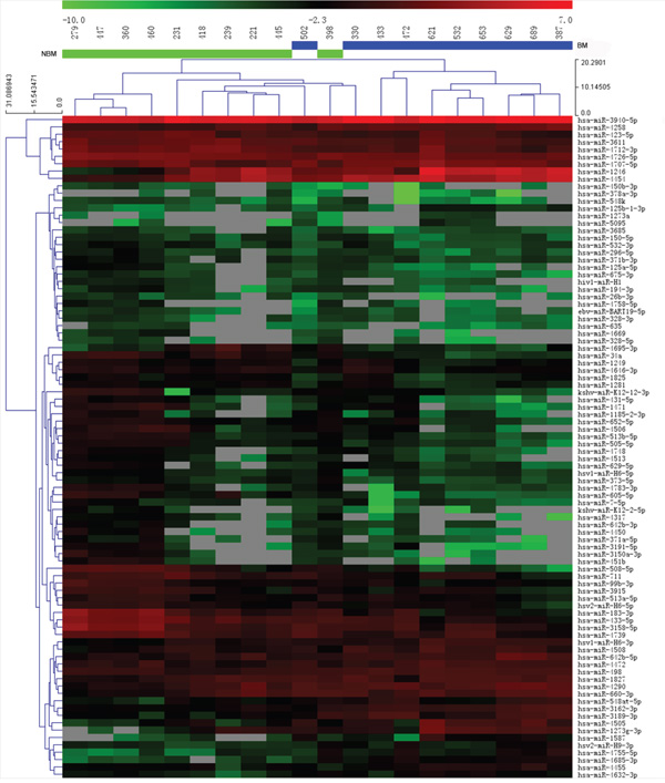 Hierarchical clustering of 90 differentially expressed miRNAs.