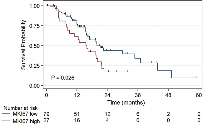Patients with tumors demonstrating TGF&#x03B2;1 expression &#x2265;75th percentile (high TGF&#x03B2;1) have longer median survival than other patients (&#x003E; 60 vs 17 months, P &#x003D; 0.005).