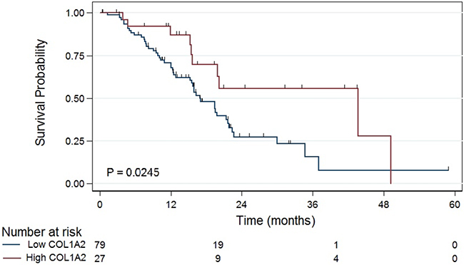 Patients with tumors demonstrating MKI67 expression &#x2265;75th percentile have shorter median survival than patients with tumors demonstrating lower MKI67 expression (16 vs 20 months, P &#x003D; 0.026).