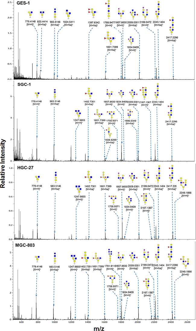 MALDI-TOF/TOF-MS spectra of total O-glycans in the four cell lines.