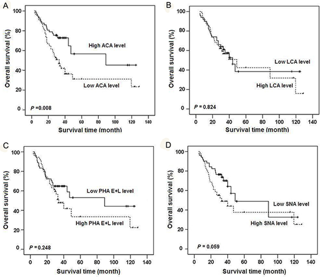 Kaplan-Meier overall survival curves for gastric cancer patients classified according to relative expression levels of four lectins.