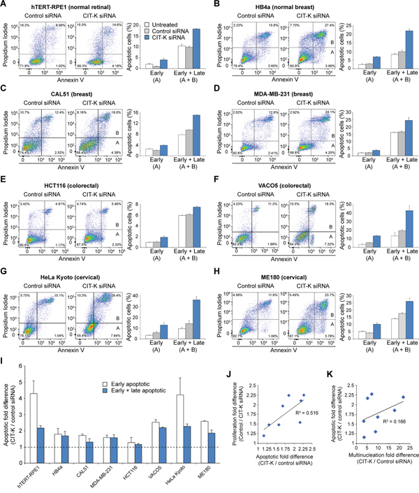 Cytokinesis failure induces apoptosis in cancer cells.