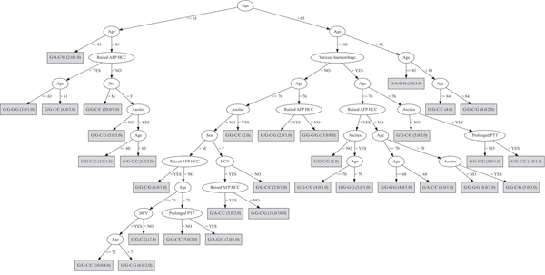 Decision tree based on the genotypes of both PNPLA3 and GRP78 SNPs.