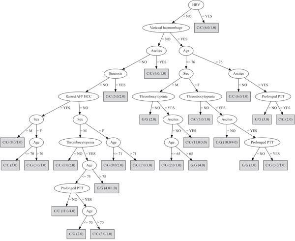 Decision tree developed fixing the rs430397 G/G genotype.