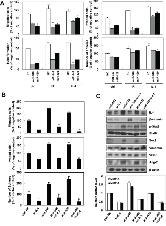 miR-340/429 mimics inhibit IR or recombinant IL-4-induced aggressive properties in the cancer cells.