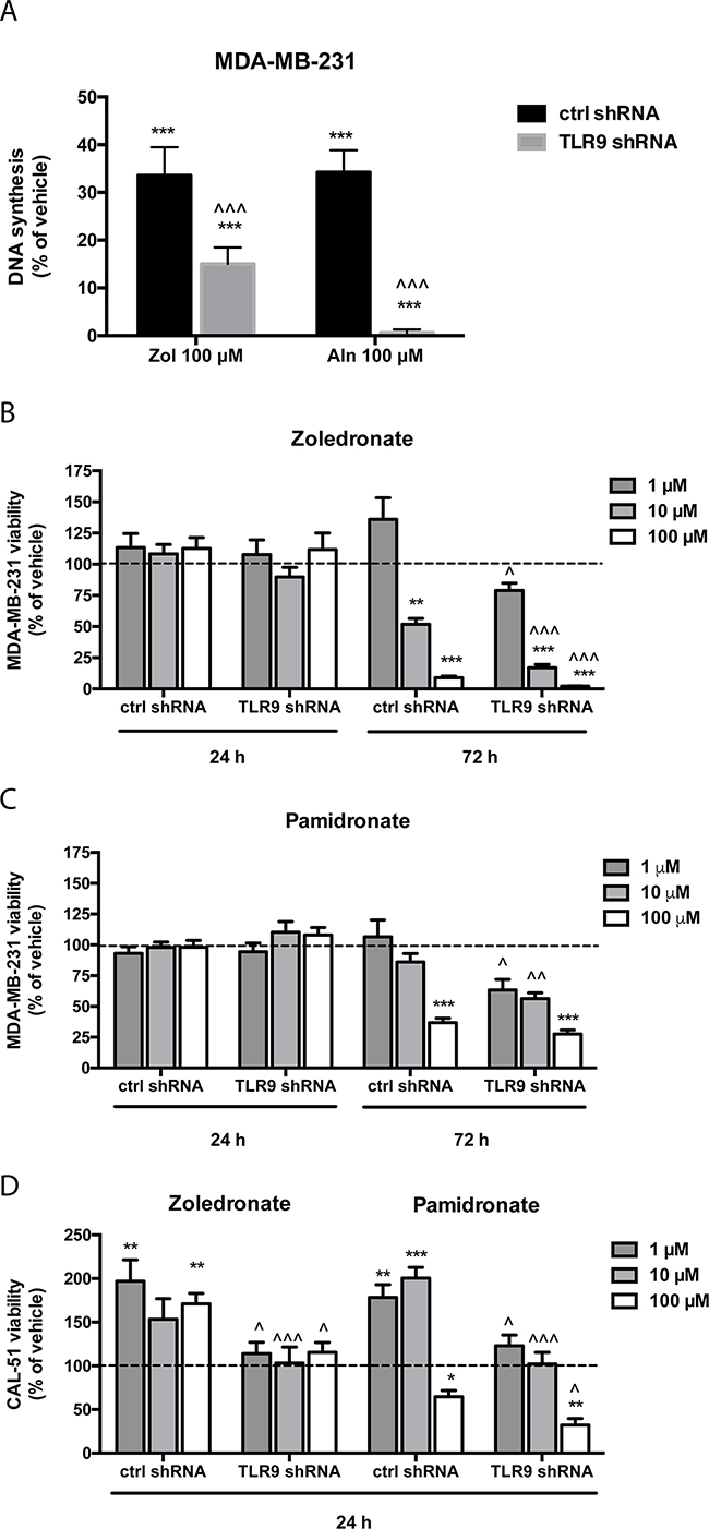 Cells with decreased TLR9 expression exhibit increased sensitivity to the growth inhibitory effects of n-bisphosphonates in vitro.