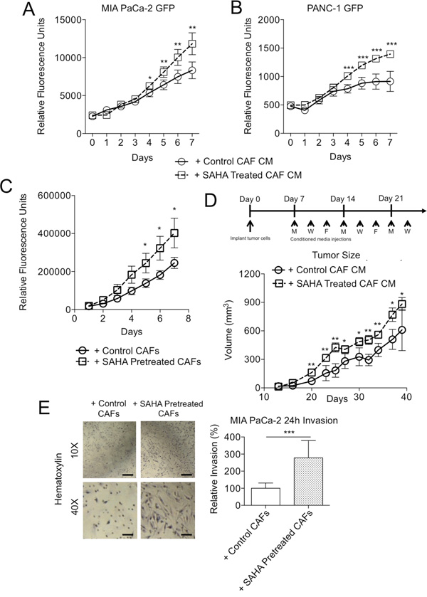 HDACi-treated fibroblasts enhance tumor cell malignant phenotypes.