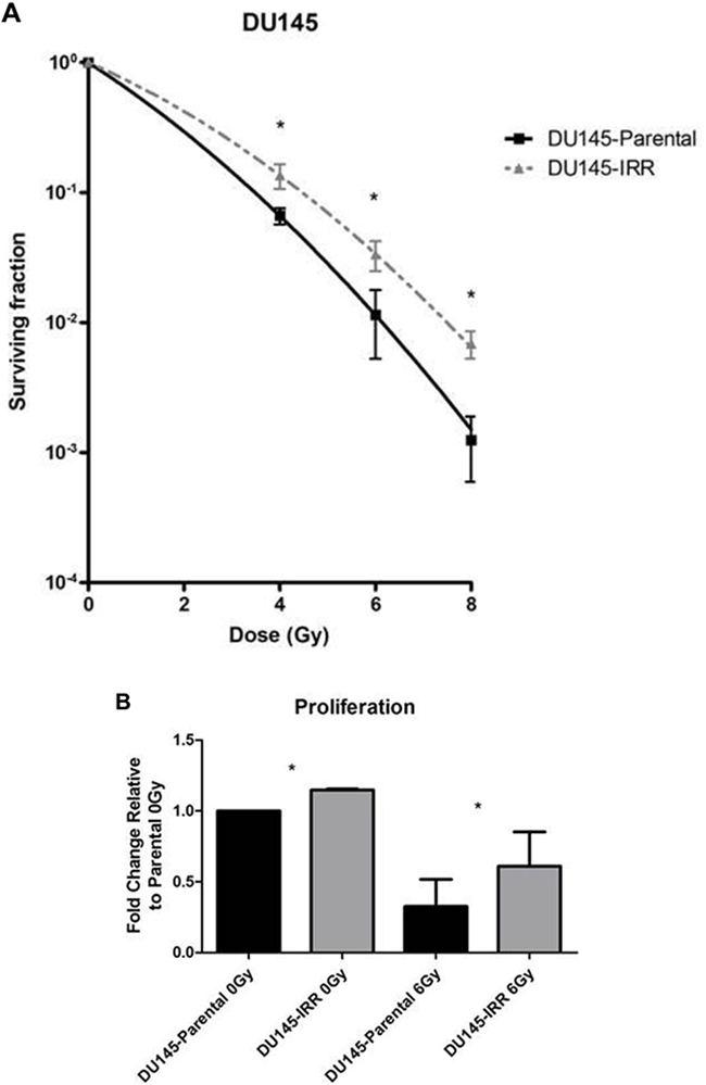 DU145 cells surviving RT are IRR and have an aggressive phenotype characterized by increased proliferation, invasive potential, and impaired G2-M cell cycle arrest.