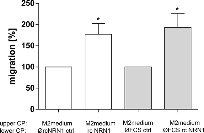 NRN1 in melanocytes.