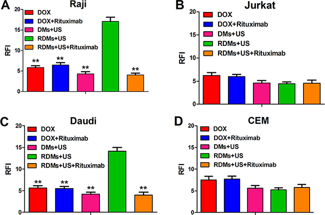 DOX relative fluorescence intensity (RFI) in Raji, Daudi, Jurkat and CEM cells.
