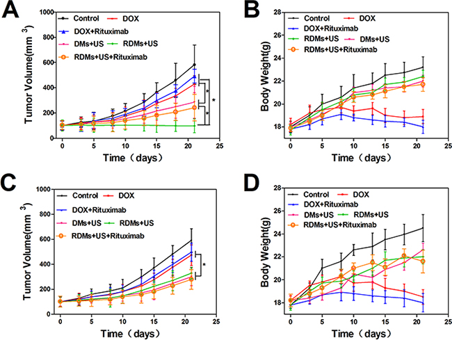 Anti-tumor treatment effects in Raji and Jurkat cell-grafted mice.