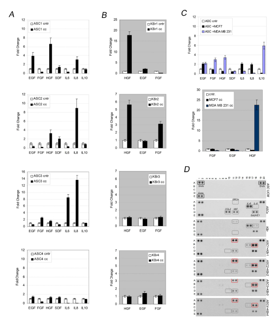 Co-culture increases HGF expression.