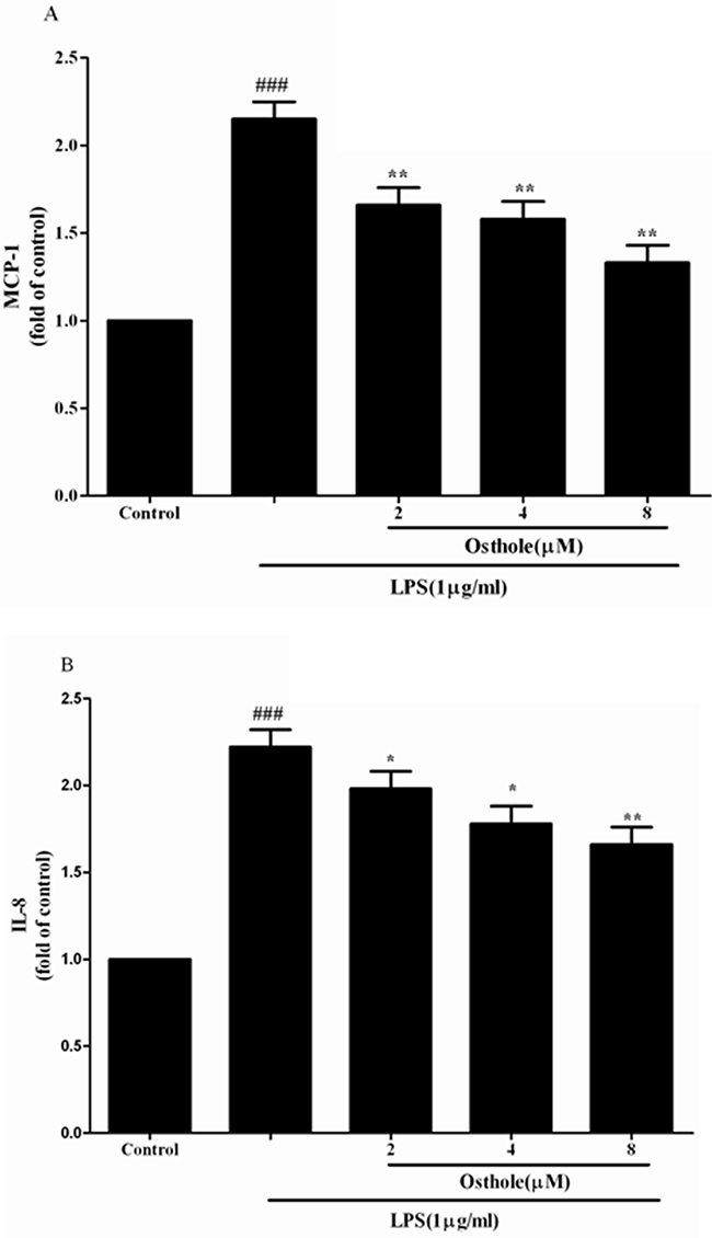 Effect of osthole on MCP-1 A. and IL-8 B. release induced by LPS in HK-2 cells.