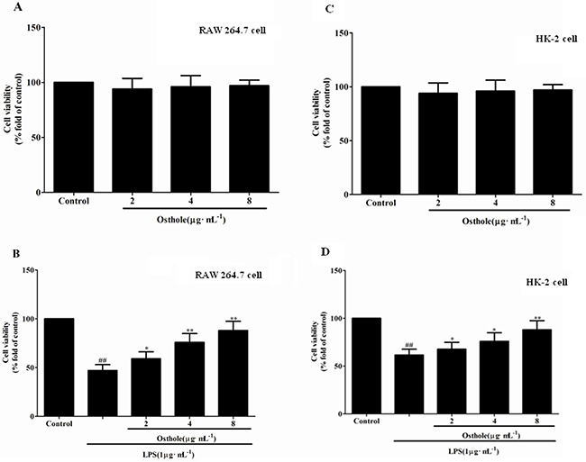 Effect of osthole on cells viability tested by MTT assay.