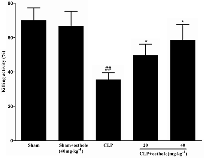 Effect of osthole on bacterial killing activity of macrophages in CLP mice.