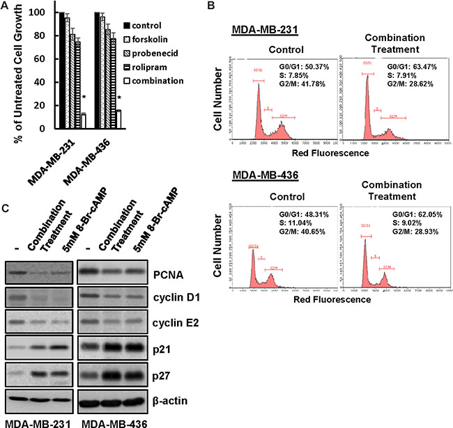 Co-treatment of forskolin, probenecid and rolipram leads to TNBC cell growth arrest.