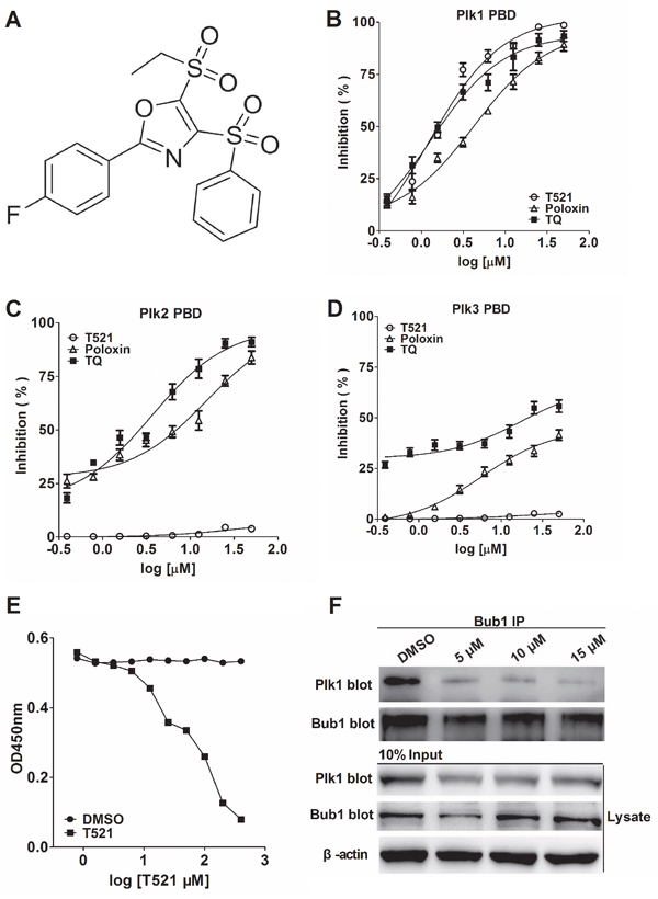 Identification of a potent small molecule inhibitor of Plk1 PBD.
