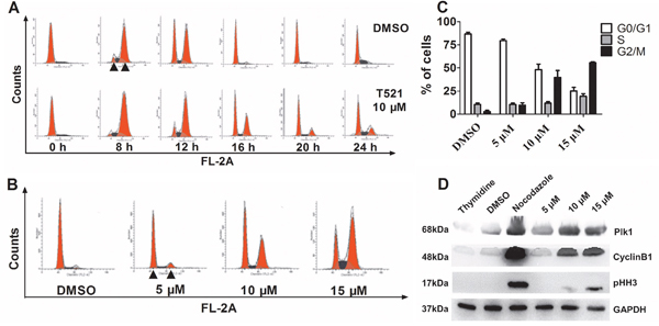 T521 induces mitotic arrest in HeLa cells.