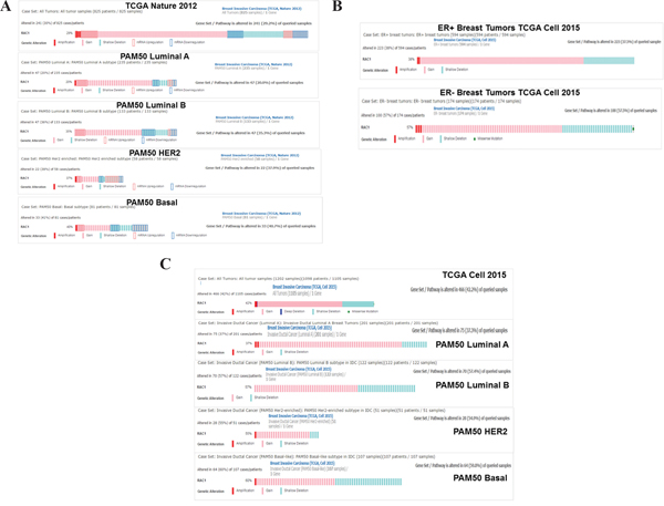 Alterations of RAC1 gene in breast cancers and breast cancer subtypes.