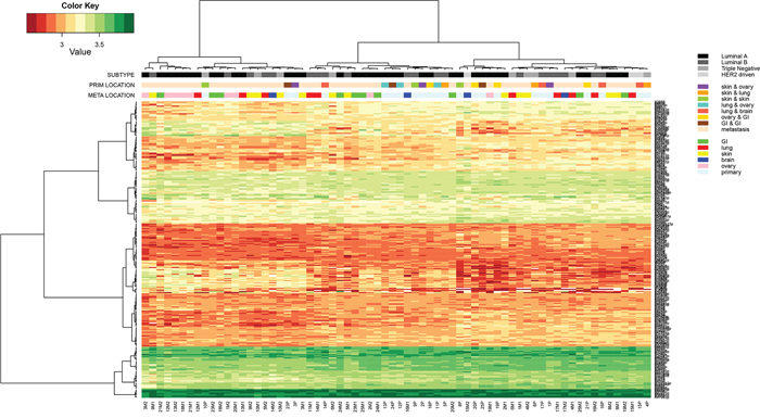 Hierarchical cluster analysis of Threshold filtered data of all primary tumors (n=23) and paired multiple distant metastases (n=46) of cohort 1, subjected to the miRCURY microRNA expression array.