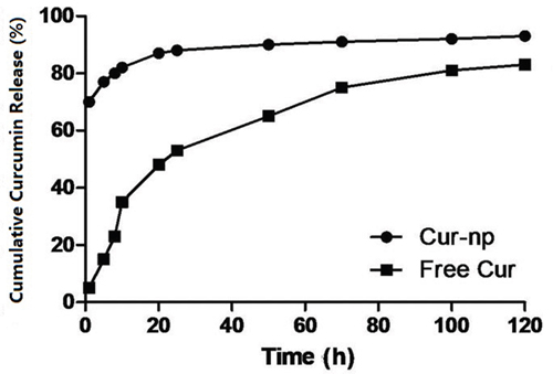 Release curve of Curcumin drug-loading nanoparticles and bare curcumin medicine in vitro.