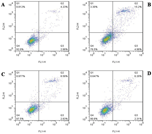 The change of apoptosis detected flow cytometry.