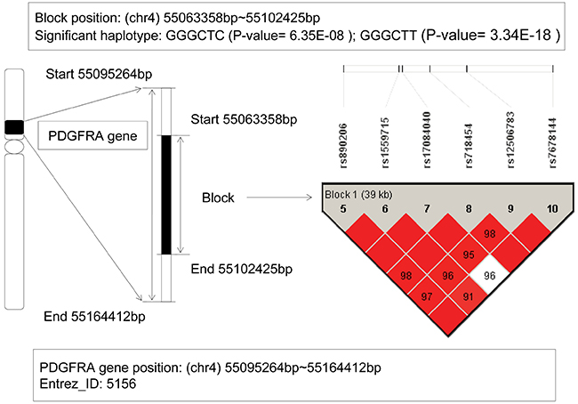 The haplotype analysis result of PDGFRA gene.