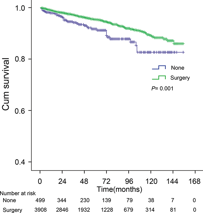 The cancer-specific survival (CSS) curve of patients treated with surgical resection and without surgery.