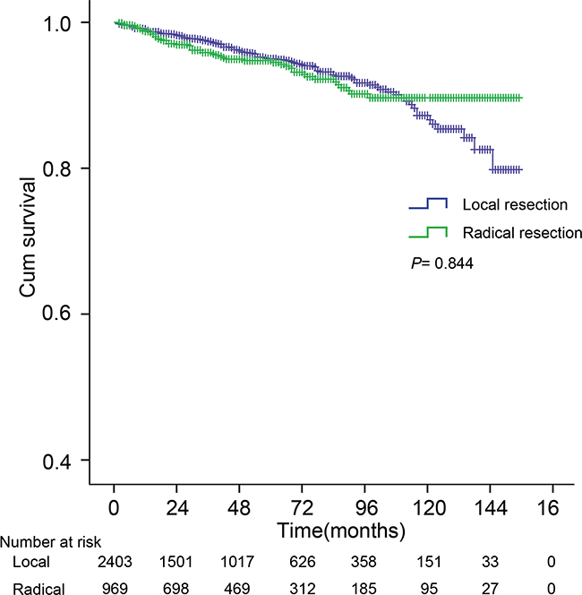 The cancer-specific survival (CSS) curve of patients with local resection (LR) and radical resection (RR).