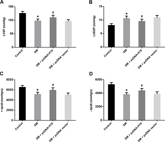 Overexpression of H19 improves cardiac function in diabetic rats.