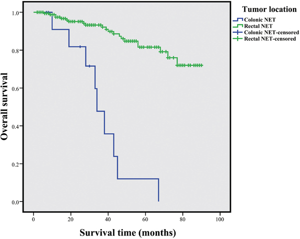 Comparison of survivals for CRNETs stratified by tumor location.