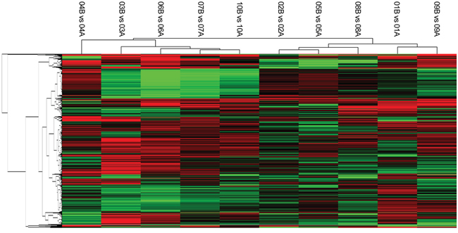 The gene expression signature of differentially expressed genes in &ge; 5 pairs of samples.