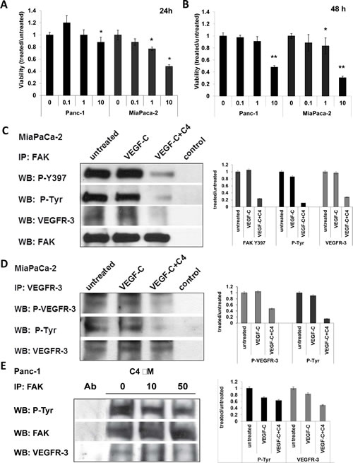 Compound C4 caused dose- and time-dependent decrease of viability of pancreatic cancer cells, dephosphorylation of FAK and VEGFR-3, and decrease of their complex formation.