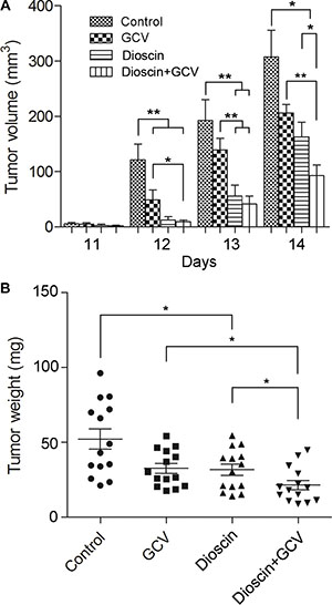 Synergistic inhibition by dioscin and GCV of tumor growth in a mixed population of B16tk cells and wild-type B16 cells in vivo