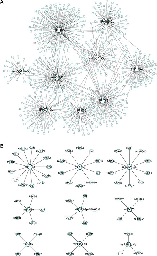 Identified miRNA biomarkers and their regulatory network.