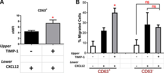 TIMP-1&#x2019;s effects on migration are mediated by the CD63 tetraspanin receptor.