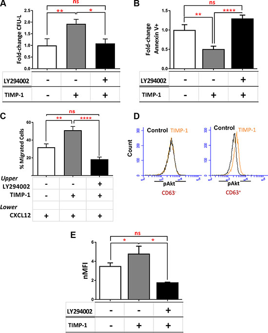 TIMP-1 effects in AML cells are mediated by PI3K/Akt and HIF-1&#x03B1; signaling axis.