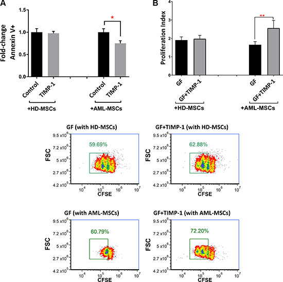 TIMP-1&#x2019;s effects on BM microenvironment: TIMP-1 promotes cell survival and proliferation in AML-derived blasts in the presence of AML-MSCs.