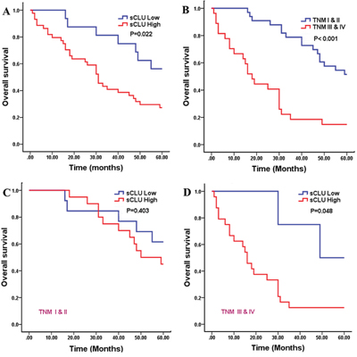 Kaplan-Meier analysis for overall survival of 60 HCC patients.