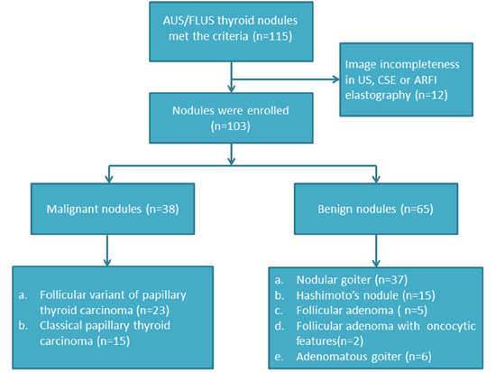 The flowchart of selection of the patients with thyroid nodules.